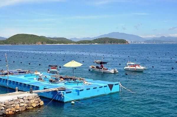 PHÚ QUỐC – THÀNH PHỐ KHÔNG NGỦ 3 NGÀY 2 ĐÊM