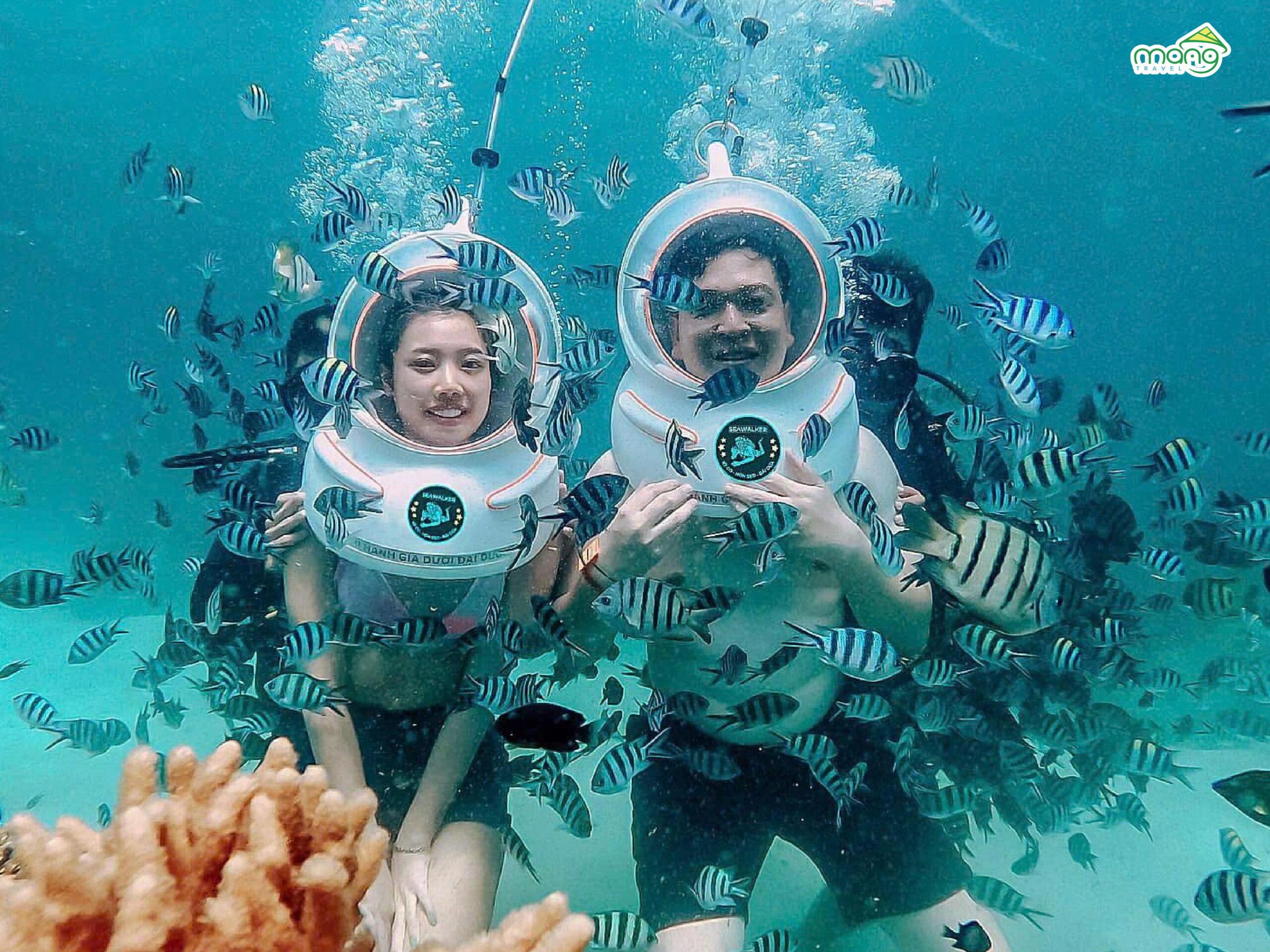 KHÁM PHÁ TOUR 2 ĐẢO KỲ CO - HÒN KHÔ - đặt combo du lịch