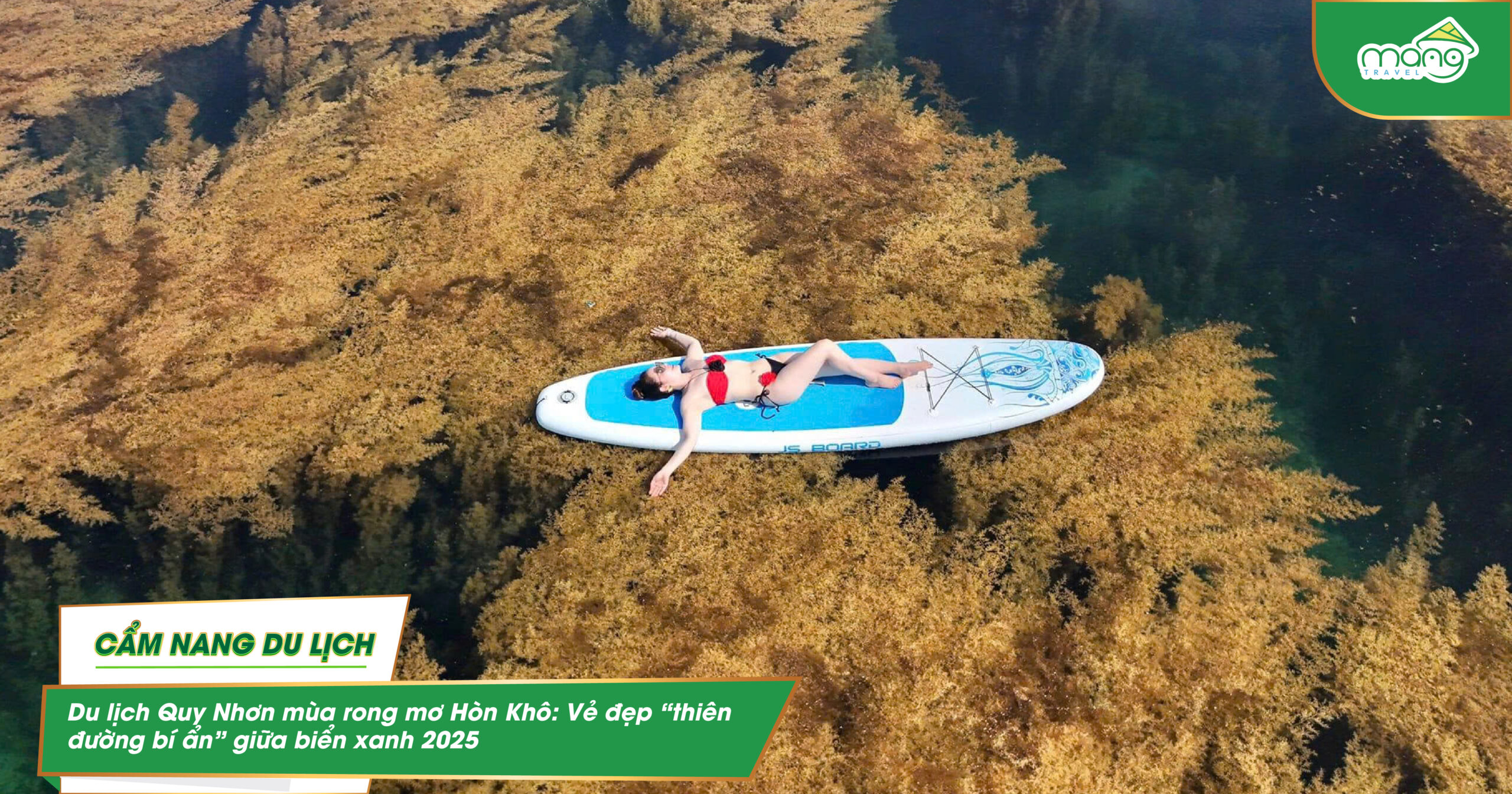 Du lịch Quy Nhơn mùa rong mơ Hòn Khô: Vẻ đẹp “thiên đường bí ẩn” giữa biển xanh 2025
