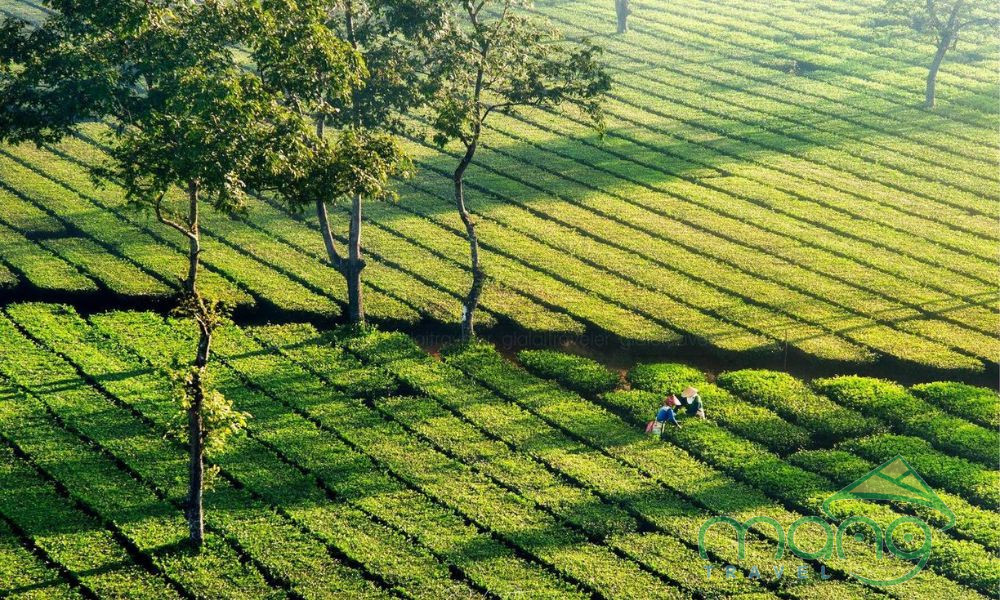 PLEIKU – KON TUM – MĂNG ĐEN – CỘT MỐC 3 BIÊN