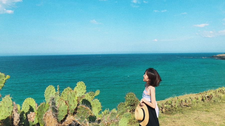  XỨ SỞ HOA VÀNG CỎ XANH Tour Quy Nhơn Phú Yên 4 ngày 3 đêm