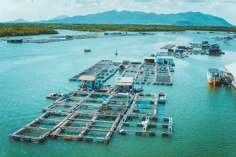 TP. HỒ CHÍ MINH – HỒ TRÀM 2N1Đ