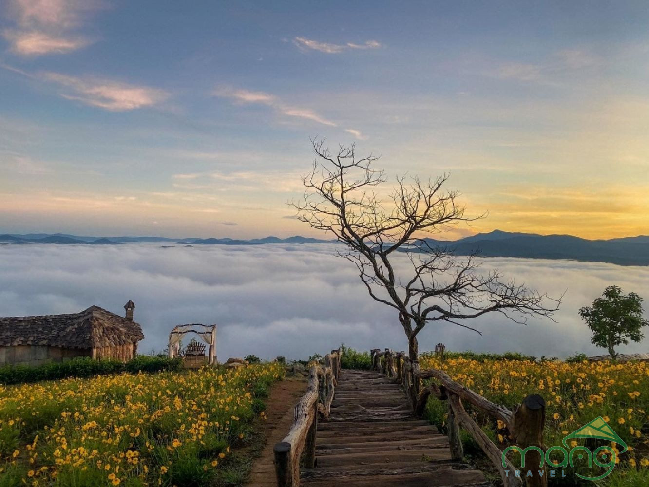 Tour Quy Nhơn – Đà Lạt 3N2Đ: Mùa hè không nóng tại xứ sương mù