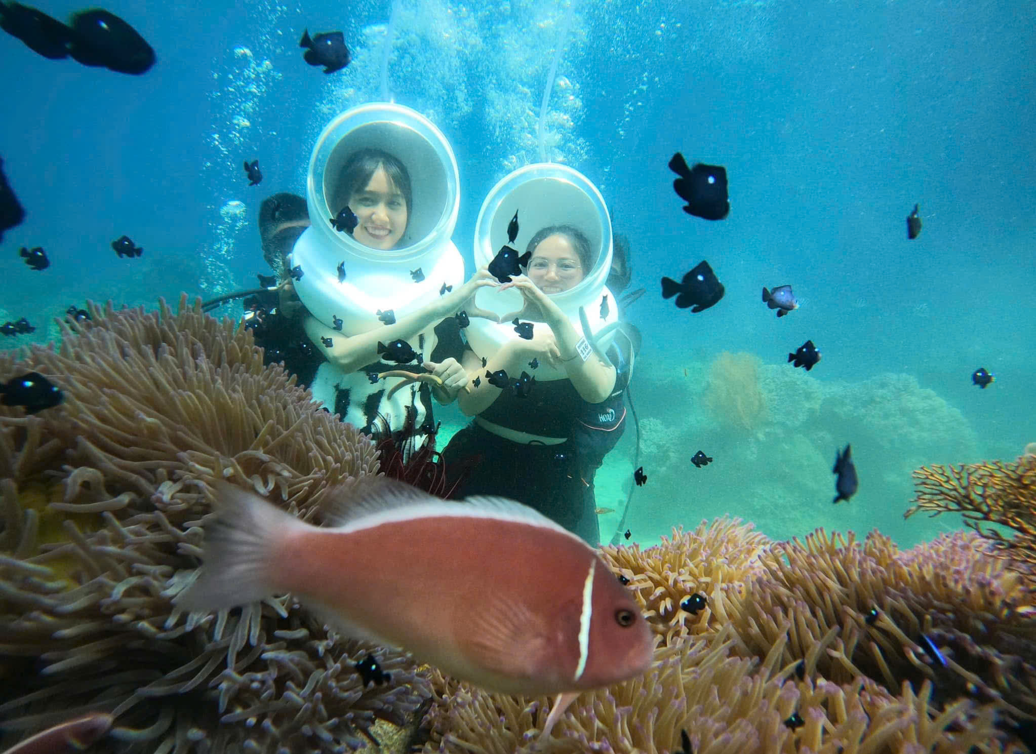 Lặn ngắm san hô