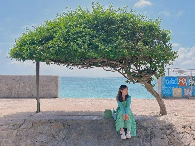 Đảo Phú Quý – Bình Thuận: Viên ngọc hoang sơ giữa biển khơi