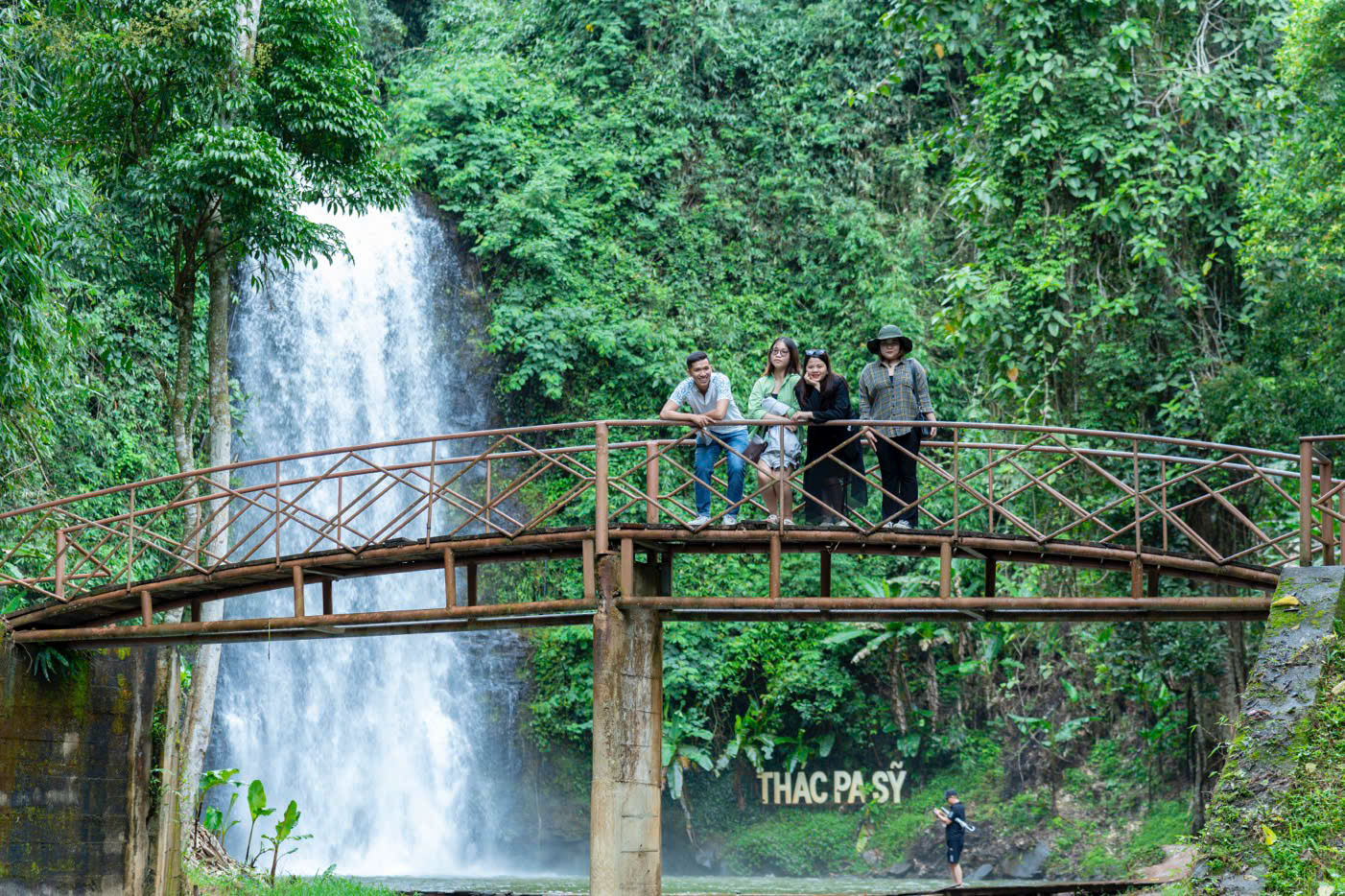 Rừng thông Măng Đen